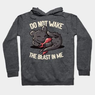 Do Not Wake The Beast Cute Lazy Dragon Gift Hoodie